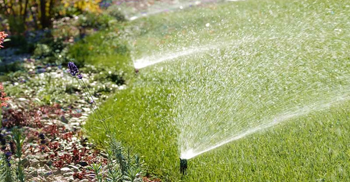 Impianti di irrigazione e giardinaggio Molfetta