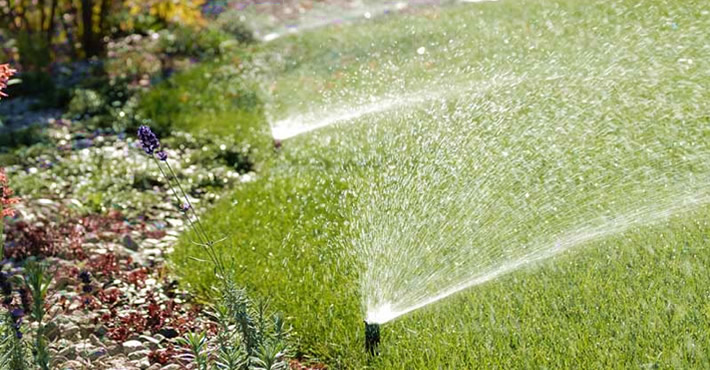 Impianti di irrigazione e giardinaggio Trani